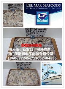 美国加州鱿鱼与海天使 电子商务的新蓝海