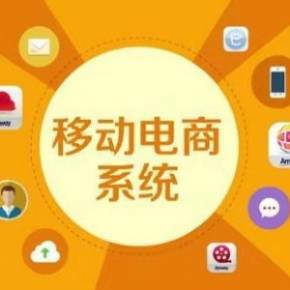 社交电商蓝山老师